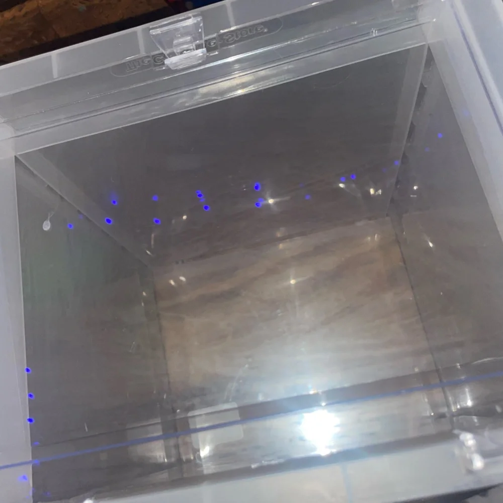 The Container Store size small
